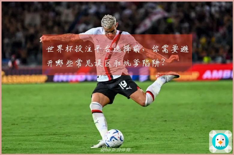 世界杯投注平台选择前，你需要避开哪些常见误区和坑爹陷阱？