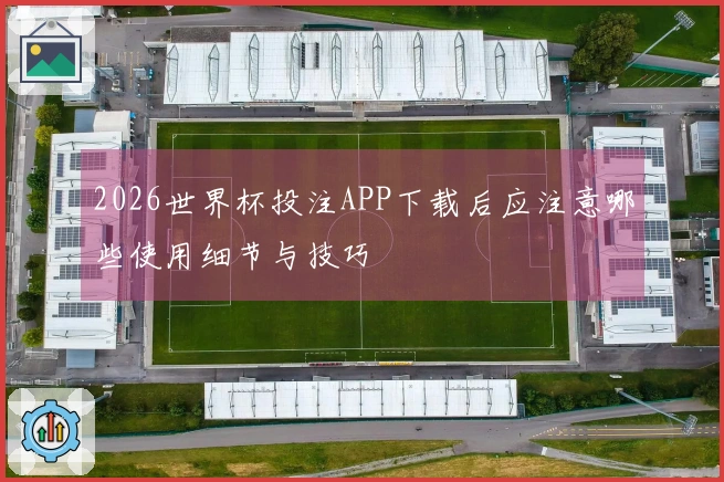 2026世界杯投注APP下载后应注意哪些使用细节与技巧