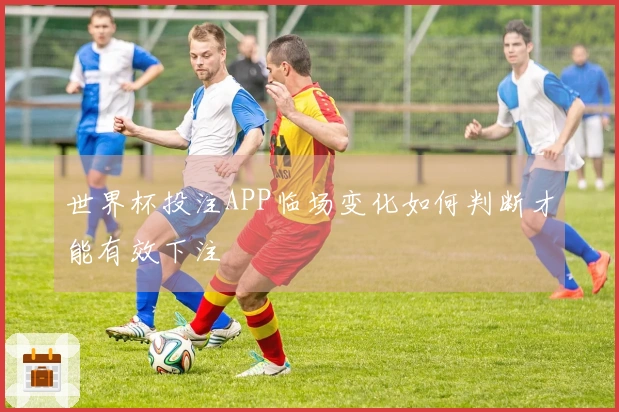 世界杯投注APP临场变化如何判断才能有效下注