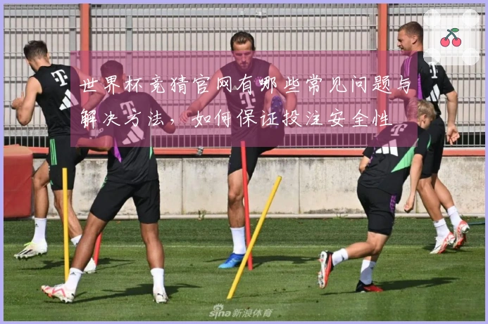 世界杯竞猜官网有哪些常见问题与解决方法，如何保证投注安全性