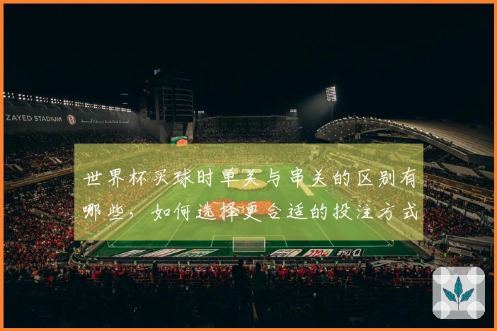 世界杯买球时单关与串关的区别有哪些，如何选择更合适的投注方式？