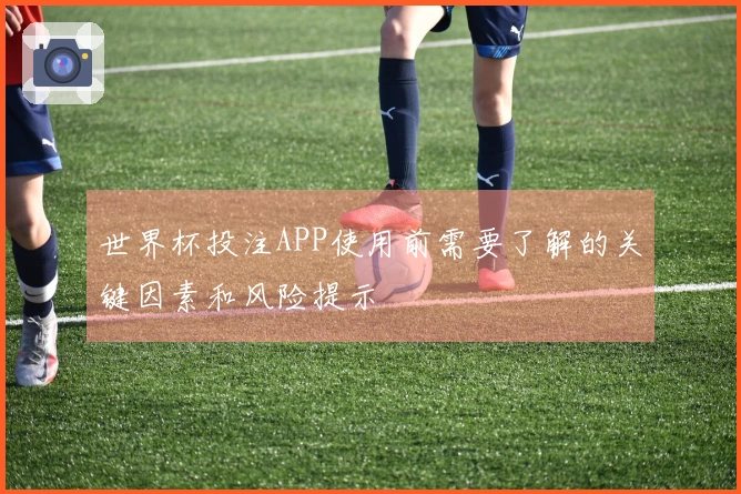 世界杯投注APP使用前需要了解的关键因素和风险提示