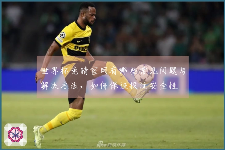 世界杯竞猜官网有哪些常见问题与解决方法，如何保证投注安全性
