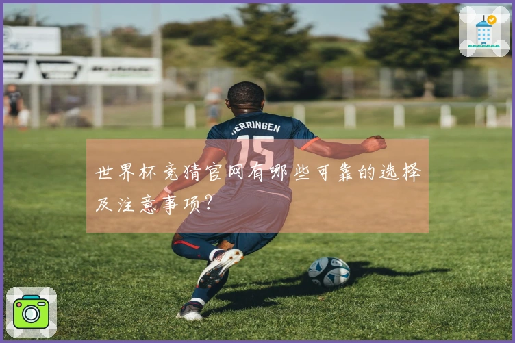 世界杯竞猜官网有哪些可靠的选择及注意事项？