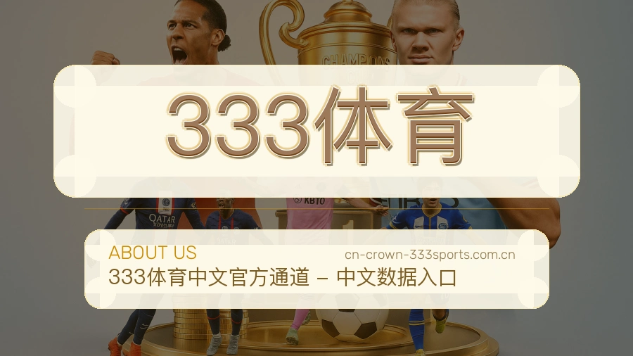 关于 333体育